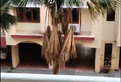 Screenshot 2026-01-27 at 12-15-43 WhatsApp Video 2026-01-27 at 11.40.40 AM.mp4