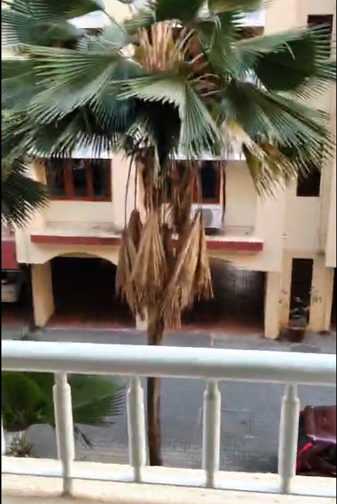 Screenshot 2026-01-27 at 12-15-43 WhatsApp Video 2026-01-27 at 11.40.40 AM.mp4