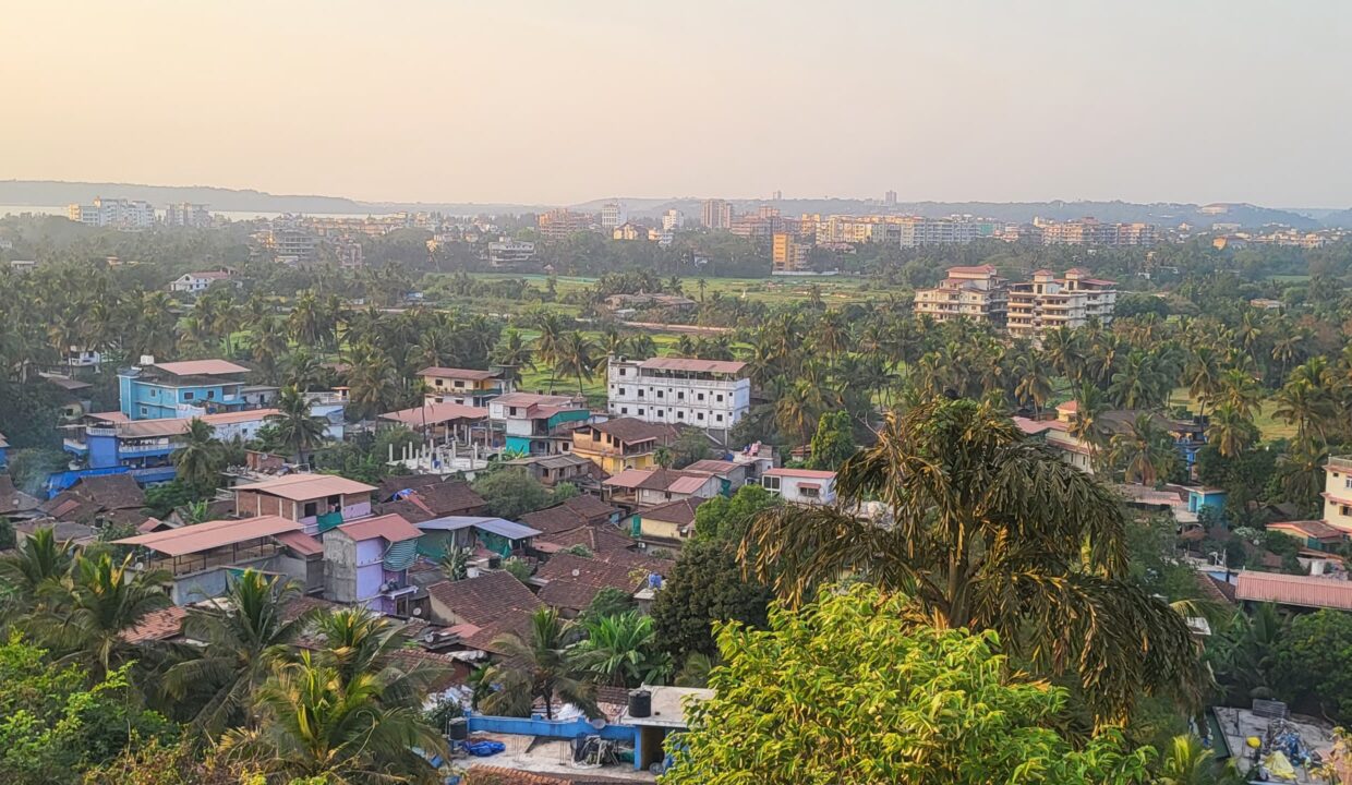 WhatsApp Image 2026-01-20 at 5.53.19 PM (1)