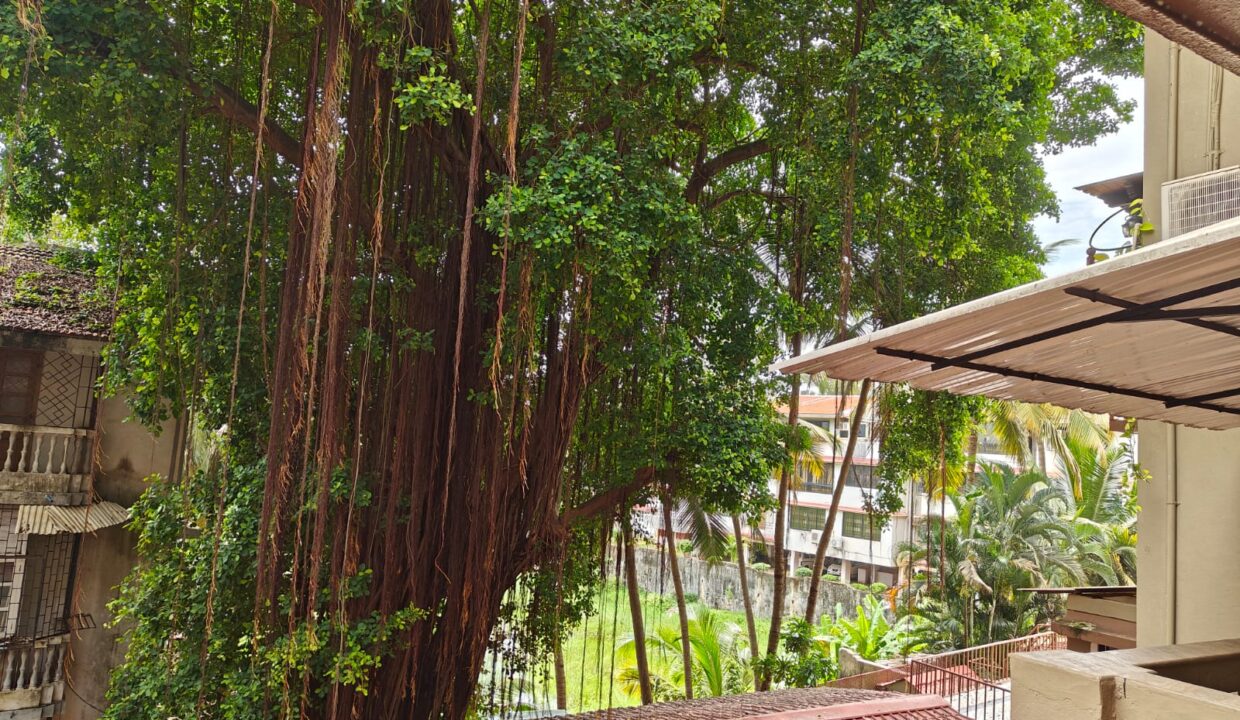 WhatsApp Image 2026-01-30 at 11.36.33 AM