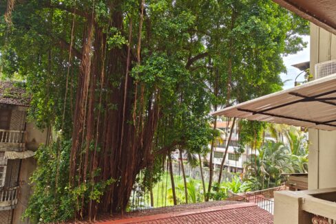 WhatsApp Image 2026-01-30 at 11.36.33 AM